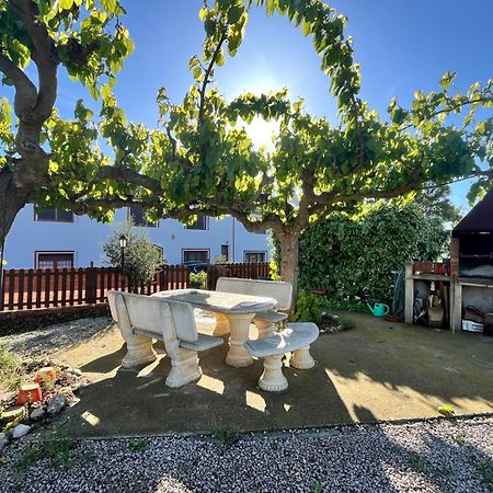 Cal Muntanyes Villa Font-Rubi Dış mekan fotoğraf
