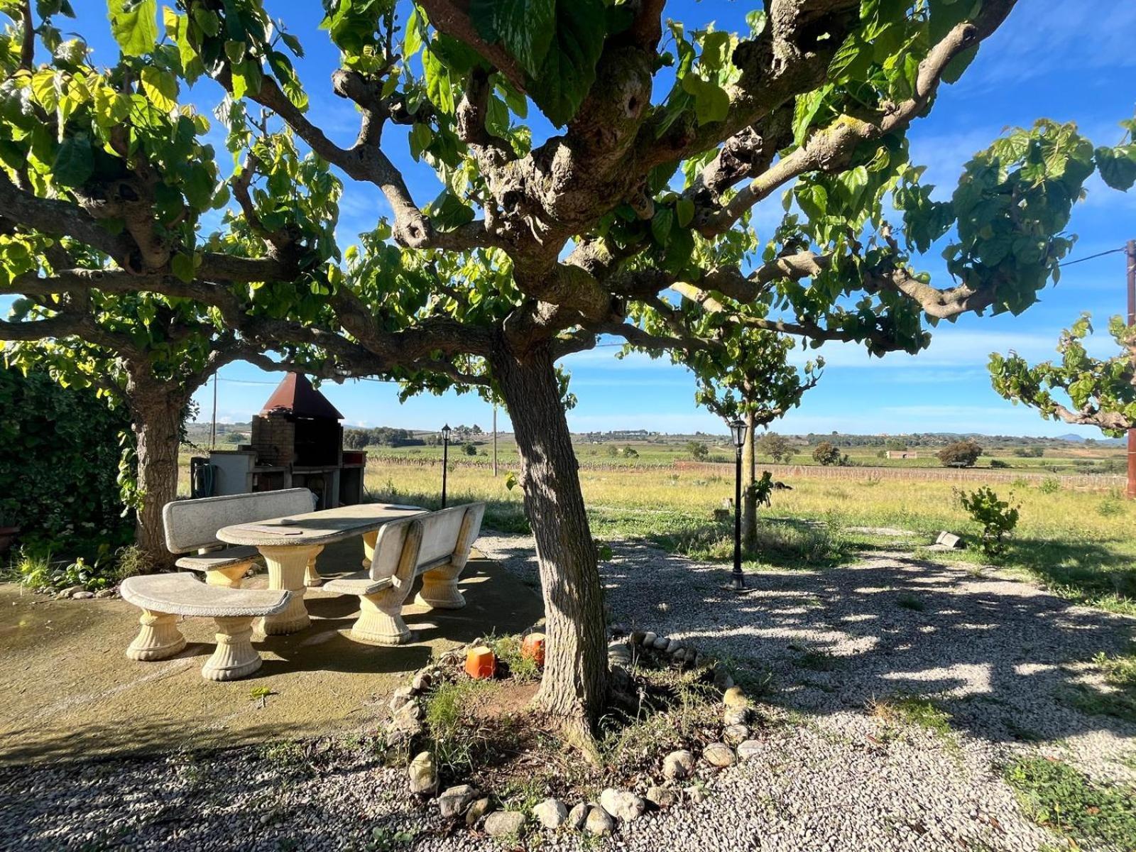 Cal Muntanyes Villa Font-Rubi Dış mekan fotoğraf